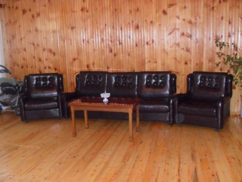 Guest House Vivaushba Bagvdanari Exterior photo