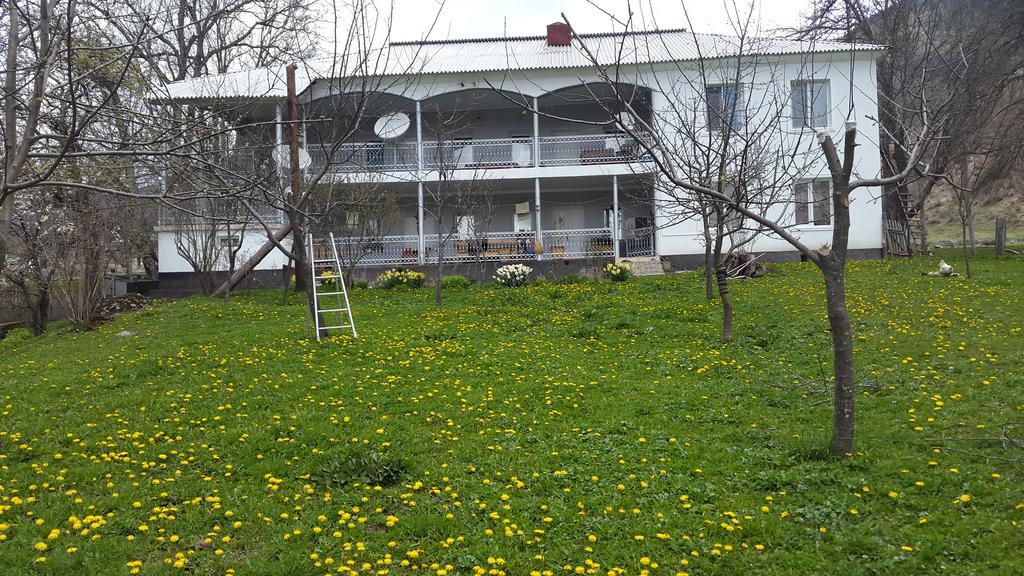 Guest House Vivaushba Bagvdanari Exterior photo
